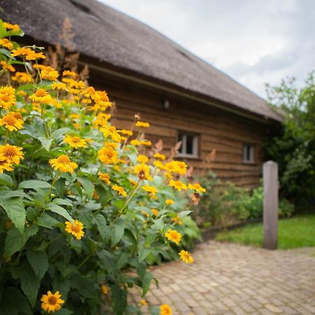 Bed and Breakfast Aan De Aelder Esch Aalden Exterior foto