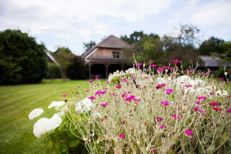 Bed and Breakfast Aan De Aelder Esch Aalden Exterior foto